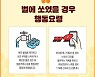 제주서 숲 체험 어린이집 원생 등 8명 말벌에 쏘여