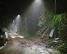 1시간 140mm '초국지 폭우', 기후변화의 한 단면으로 본 이유는
