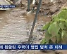 집도 돈도 비에 쓸려간 판자촌..서울에 등장한 이재민 대피소
