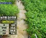 가뜩이나 올랐던 채소값 폭우로 설상가상..명절 앞두고 '비상'