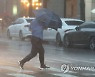[날씨] 충청권 많은 비..남해안·경남 폭염특보