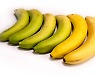 '녹색 바나나'는 암 예방 효과.. '노란 바나나'는?​