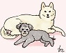마당개 중성화 시술 신청하세요