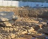 "무지했다" 세계 최대 고인돌 훼손에..김해시장 사과