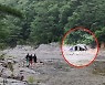 '철수 권고'에도 버티던 계곡 캠핑객..결국 "구해주세요"