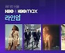 웨이브, '오겜'과 에미상 경쟁하는 '유포리아2'·'석세션3' 공개