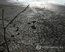 APTOPIX Hungary Drought