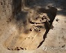 POLAND ARCHEOLOGY HISTORY