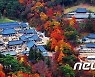 무비 대종사의 아홉 제자, 법맥 이어받다..해인사 20일 건당식