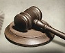전자발찌 차고 외출금지·음주제한 상습 무시.. 50대 남성 징역형