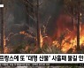 [이 시각 세계] 프랑스에 또 '대형 산불' 사흘째 불길 안 잡혀