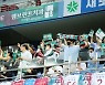 축구로 하나되는 대전..대전하나시티즌의 팬 프렌들리 마케팅은 계속!
