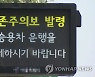 서울 전역에 오존주의보.."야외활동 자제해야"(종합2보)