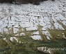 Italy Lake Garda Drought