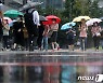 [오늘의 날씨] 강원(13일, 토)..또 비 소식 영서 최대 80mm, 무더위도 지속