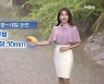 [뉴스센터 날씨] 밤사이 중부지방 다시 집중호우..남부 폭염 계속
