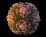 하수에서 '소아마비 바이러스' 검출..백신접종 권고한 美 뉴욕시