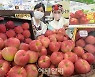 [포토] '홍로' 출하