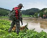 육군 32사단 장병들 부여‧청양 수해복구 현장서 '구슬땀'