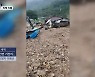 [특보] 시청자 제보 영상으로 본 부여·청양 피해 상황