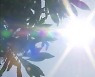 제주 찜통더위 계속..사흘간 관광객 14만 명 찾아