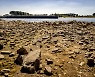 라인강이 고작 30cm.. 최악 가뭄 유럽, 경제 직격탄