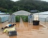 폭우로 침수된 청양군 멜론 비닐하우스