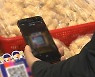 '할인 쿠폰' 전통시장선 사용 묶은 탁상행정