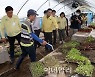 [포토] 이성희 농협회장, 집중호우 피해지역 점검