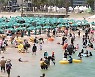 [오늘의 날씨]제주(15일, 월)..체감온도 36도, 폭염 지속