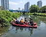 동래 온천천 물고기 수천마리 집단 폐사
