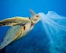 해양쓰레기, 인류가 지구에 남기는 영원한 상처