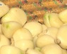 중국산 홍수..한국 마늘 도전장 눈길