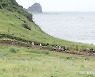 용머리 해안 산책로 걷는 관광객들