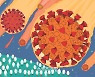  코로나 끝난 지 오랜데, 계속되는 증상 어떡하나?[헬스토피아]