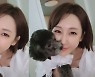 한영, 격리 끝낸 ♥박군과 재회.."가족 소중함 깨달았다"[리포트:컷]
