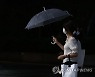 다시 내리는 비