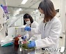 경기도내 유통 쌈 채소류 16건 잔류농약 기준치 초과 검출