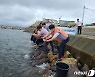 전북도, 해상풍력 발전사업과 수산업 공생 '첫걸음'