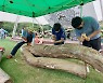옥천향수장승깎기 문화캠프 개최