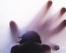 새벽 방충망 열고 잠자던 여성 얼굴 만지려던 20대 남성 체포
