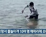 포항서 물놀이객 10여 명 해파리에 쏘여