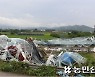 엿가락처럼 휘어진 비닐하우스..전북 정읍 돌풍피해 현장