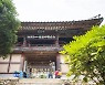 태고종 '선암사 2심' 이기자 조계종 "실력 행사" 전운