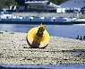 Germany Drought