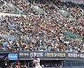 [야구토토] KBO 3경기 대상 스페셜 93회차, "한화-삼성 접전 예상