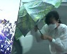 공식 다 깨진 '장마와 무더위'.."우기 도입 고려해야"