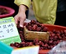경산에서 온 대추