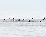 바다 사나이들의 전투수영