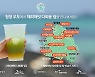 SKT, 제주 우도서 플라스틱 절감 캠페인..다회용 컵 순환시스템 도입